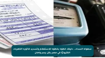 سهولة السداد.. دليلك خطوة بخطوة للاستعلام وتسديد فاتورة الكهرباء إلكترونيًا في مصر بكل يسر وأمان